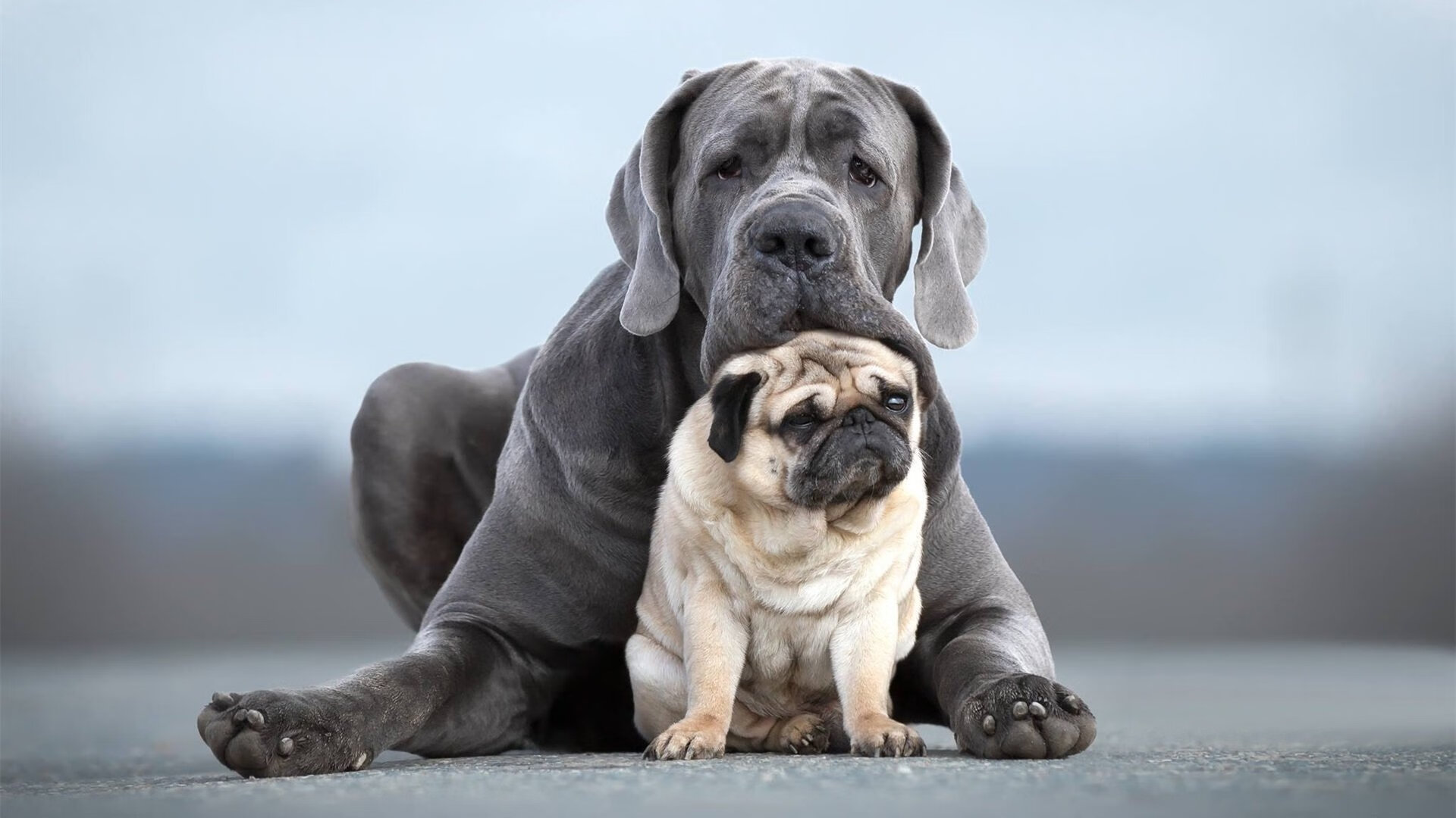开云·Kaiyun网页版-_海边骑行大赛：风景与速度兼得_，海边骑行惬意的说说