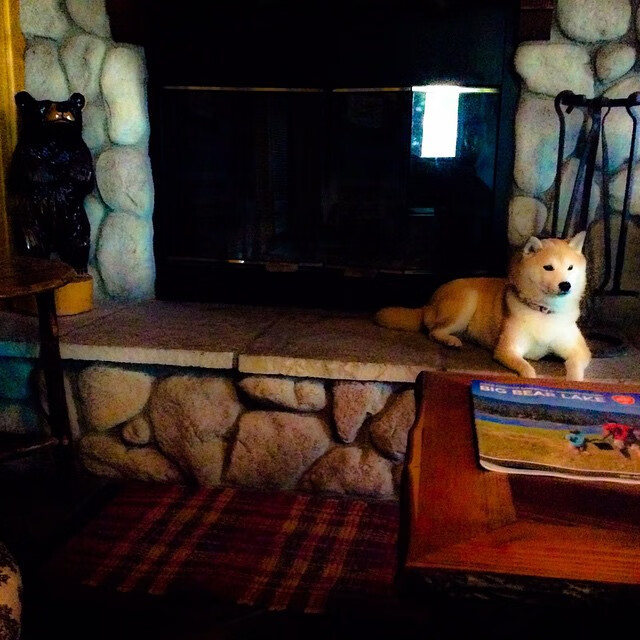 开云体育-【冠军之路】马克·塞尔比：从逆境中崛起的坚韧精神，马克塞尔比的人生经历