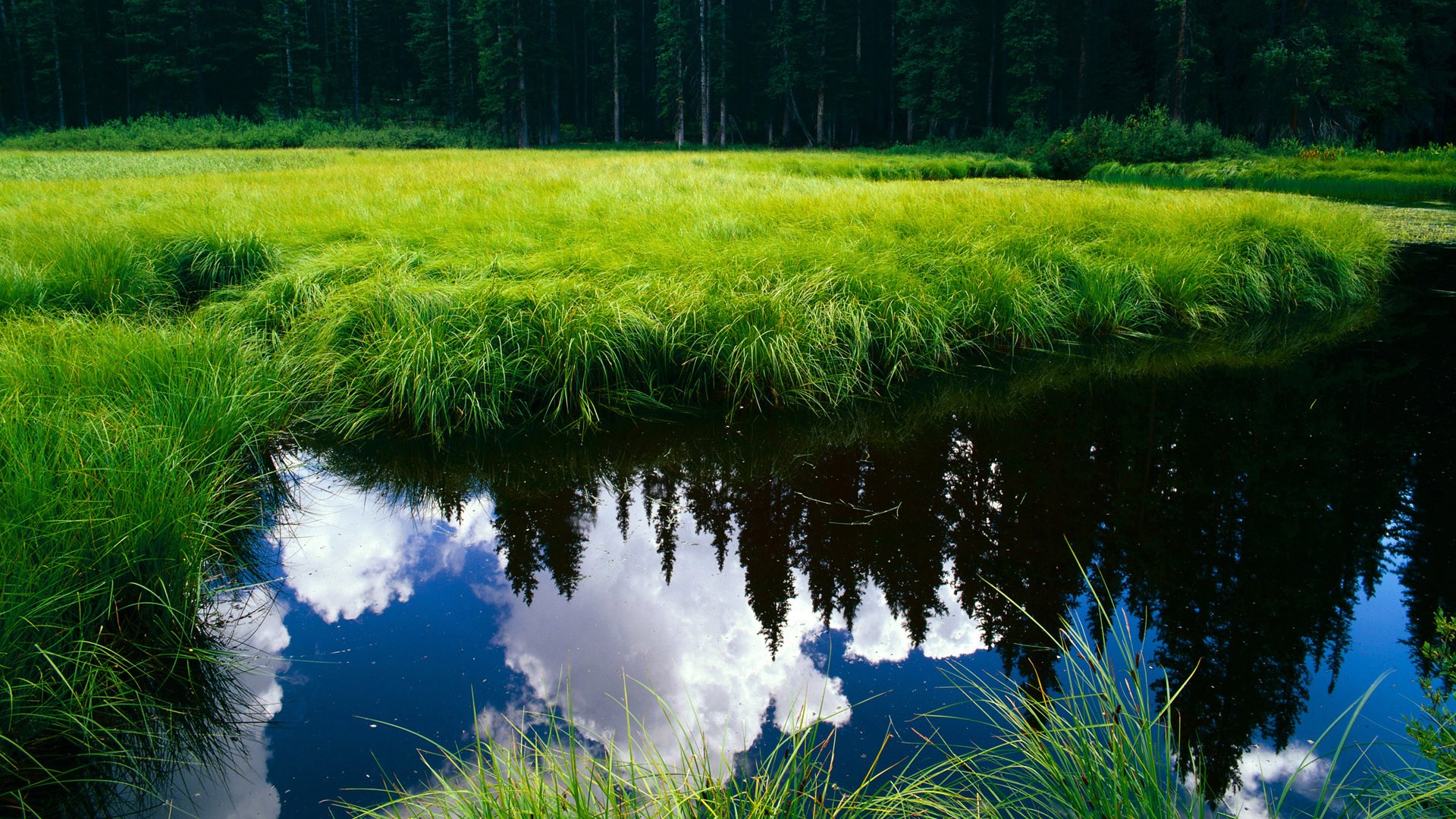 kaiyun网站-中国篮球裁判员培训班上线，提升裁判专业水平，中国篮球裁判员报名