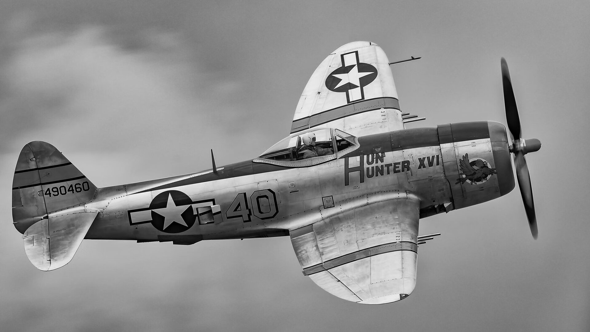 国王20年首次晋级季后赛,全城庆祝,国王多少年没进季后赛了