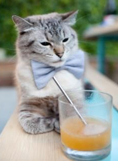 电竞“黑马”战队逆袭：冠军之路总是充满变数，电竞 马