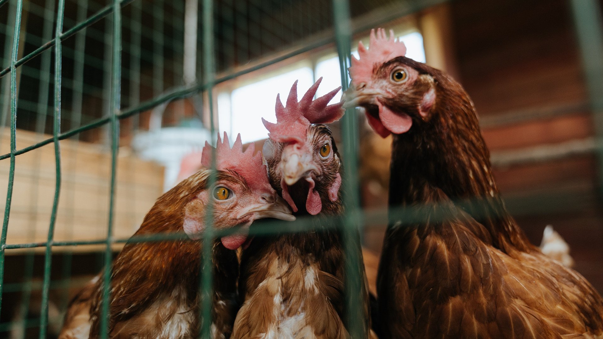 Kaiyun官方登录入口-线下网球体验赛，亲手感受赛场魅力，网球体验馆