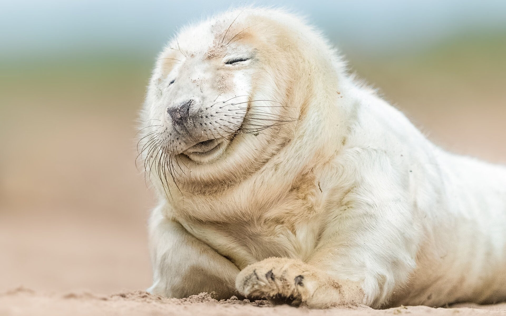 全明星赛在休斯敦成功举办,吸引众多球迷观看,全明星赛在休斯敦成功举办,吸引众多球迷观看