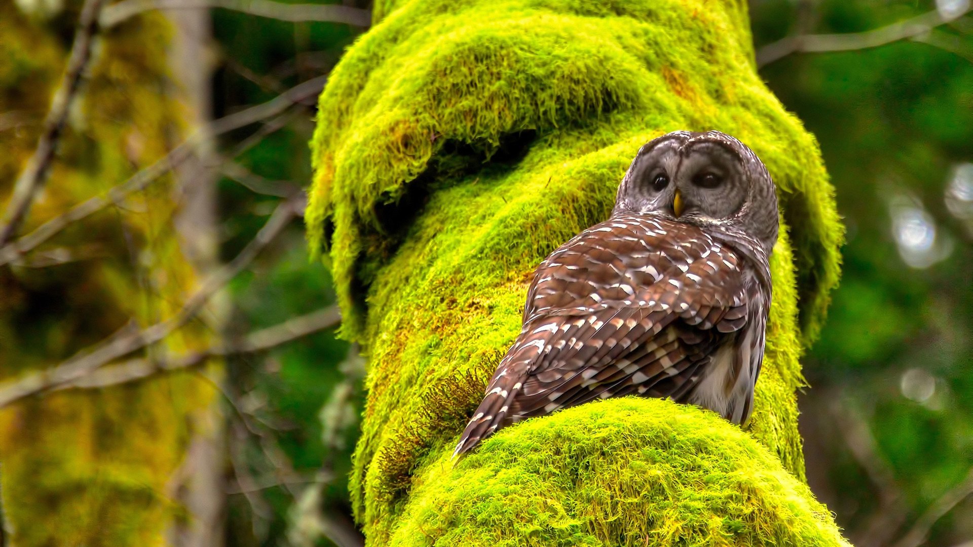 kaiyun网站-杜塞尔多夫迎战柏林赫塔，争夺胜利，杜塞尔多夫对