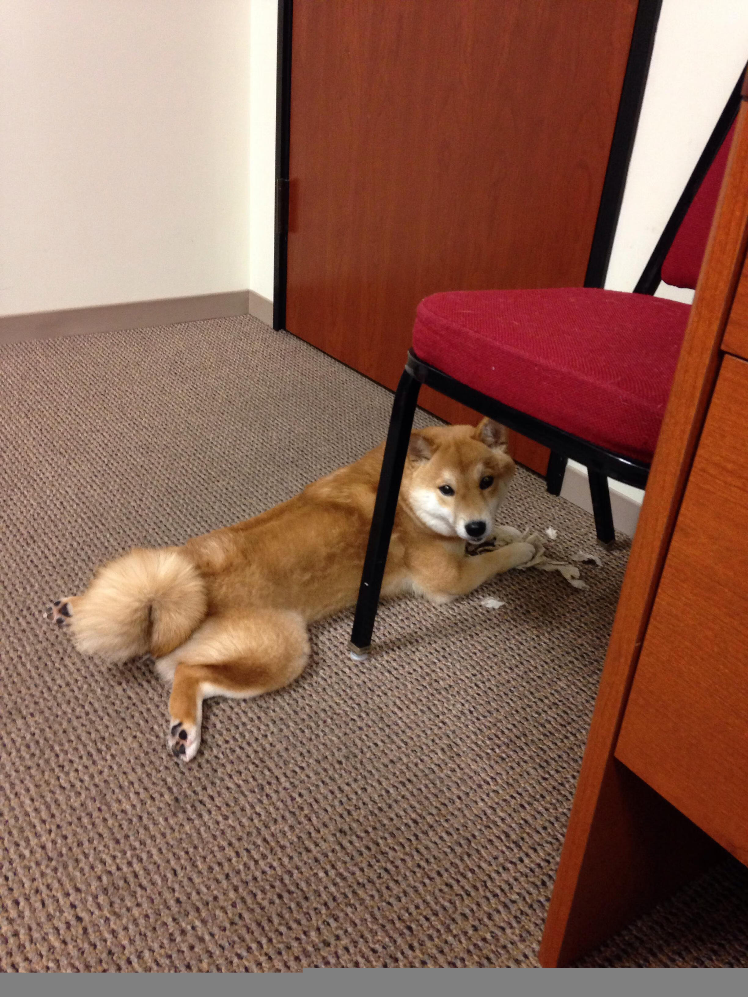 kaiyun.com-瑞典队在今日的比赛中获得惊人的胜利，瑞典队比赛结果