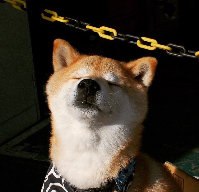 纷争激烈的比赛中球员们展现实力，令人赞叹不已，纷争怎么写