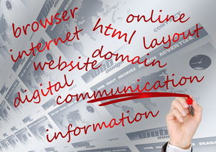 开云·体育官网-体育赛事品牌建设中的用户参与机制，体育赛事品牌打造