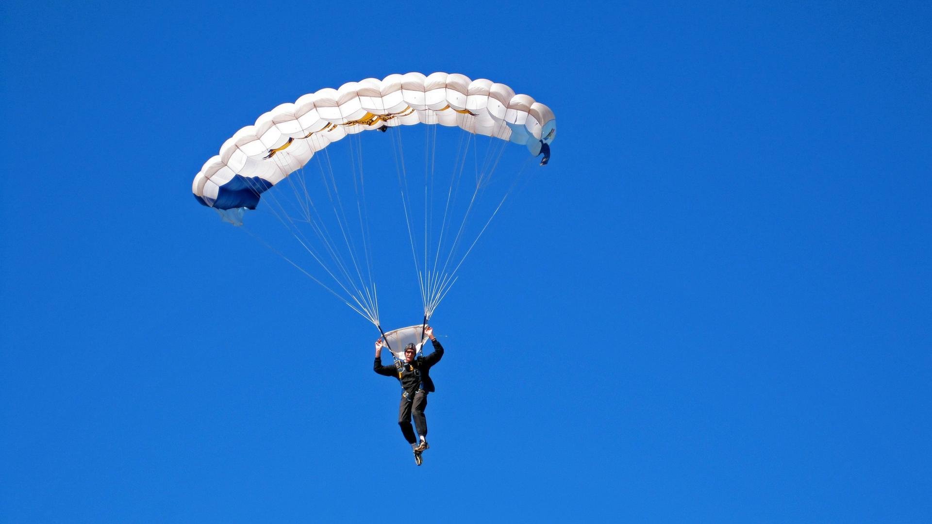 200蝶节奏曲线首次公开