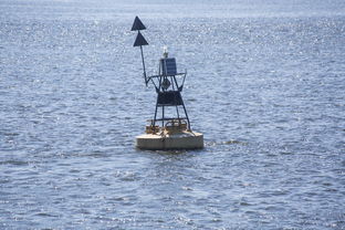 开云·体育官网APP下载-中方蝶泳入水角度更锐利？图解数据分析，中国蝶泳厉害吗