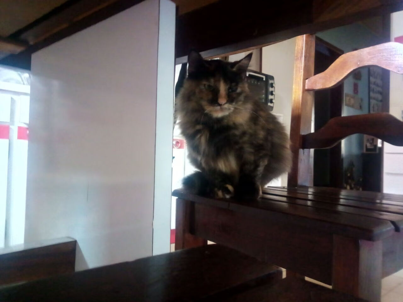 KAIYUNAPP-凯尔特人后卫训练中展示高效变速突破，凯尔特人后卫训练中展示高效变速突破的动作