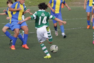 开云官方-国家体育场运营中心发布暑期开放时间公告，国家体育场百度百科